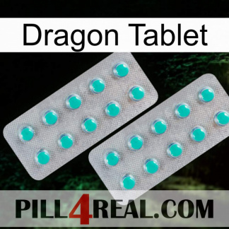 Dragon Tablet 29